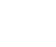 Evolution games at Casinsi Casino
